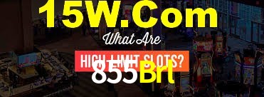 Statistics 855Brl